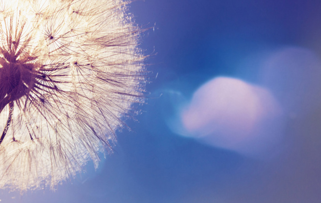 js3845金沙线路(集团)有限公司官网